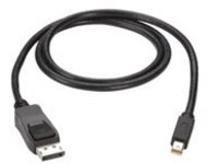 Black Box - DisplayPort cable