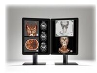 Barco Nio Color 2MP - LED monitor