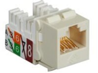 Black Box GigaTrue2 CAT6 Jack