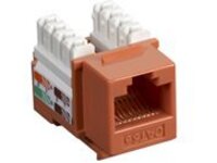 Black Box Value Line CAT5e
