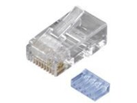 Black Box CAT6 Modular Plug