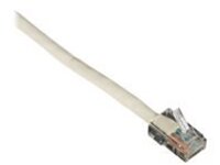 Black Box Connect - Patch cable
