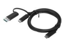 Lenovo USB-C cable - USB-C to USB-C - 1 m