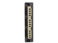 Black Box Standard Adapter Panel