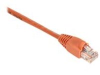 Black Box GigaTrue - Patch cable