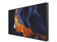 Philips 55BDL3102H - 55" Diagonal Class H-Line LED-backlit LCD display