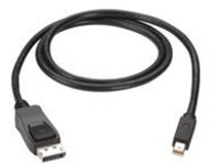 Black Box - DisplayPort cable