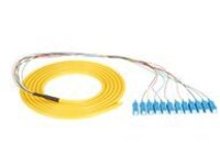 Black Box - Pigtail - SC/UPC single-mode (M)