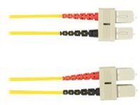 Black Box - Patch cable