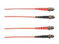 Black Box - Patch cable