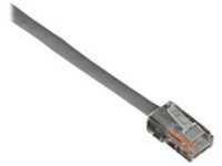 Black Box Connect - Patch cable