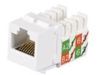 Black Box GigaTrue2 CAT6 Jack