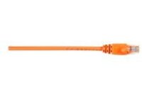 Black Box - Patch cable
