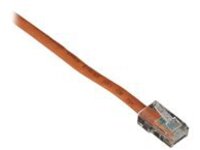 Black Box Connect - Patch cable