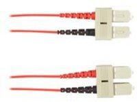 Black Box - Patch cable