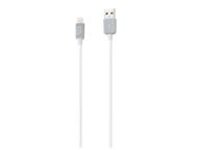 iStore - Lightning cable