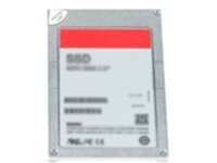 Dell - Solid state drive