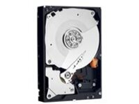 Dell Customer Kit - Hard drive