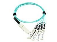 Axiom AX - 100GBase-AOC direct attach cable