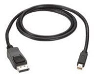 Black Box - DisplayPort cable