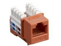 Black Box Value Line CAT6
