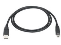 Black Box - USB cable