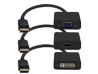 AddOn 8in DisplayPort to DVI/HDMI/VGA Adapter Cable