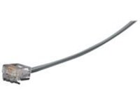 Black Box - Phone cable