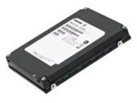 Dell Hot Plug - SSD - 200 GB