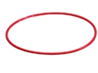 Olympus O-Ring POL-022 for PT-022 