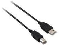 V7 - USB cable - USB (M) to USB Type B (M)