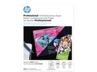 HP Professional Brochure and Flyer