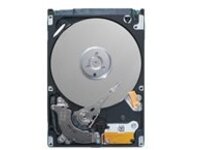 Dell - Customer Kit - hard drive