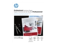 HP Professional Brochure and Flyer