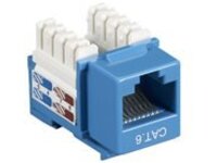 Black Box Value Line CAT6
