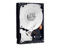 Dell - Customer Kit - hard drive