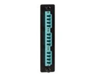 Black Box Standard Adapter Panel