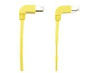 Black Box SpaceGAIN Down to Up - patch cable - 91.4 cm - yellow