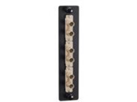 Black Box Standard Adapter Panel Bronze Sleeves
