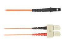 Black Box - Patch cable