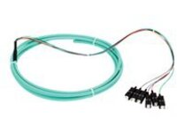 Black Box - Pigtail - SC/UPC multi-mode (M)