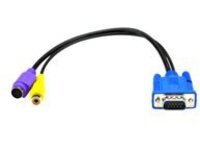 Black Box VGA to Composite and S-Video Adapter Cable