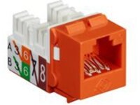 Black Box GigaTrue2 CAT6 Jack