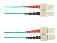 Black Box - Patch cable