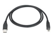 Black Box - USB cable