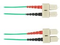 Black Box - Patch cable