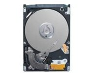 Dell - Hard drive - 2 TB