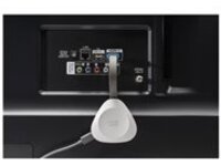 Cisco Webex Share - Network adapter
