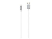 iStore - Lightning cable