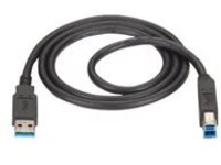 Black Box - USB cable
